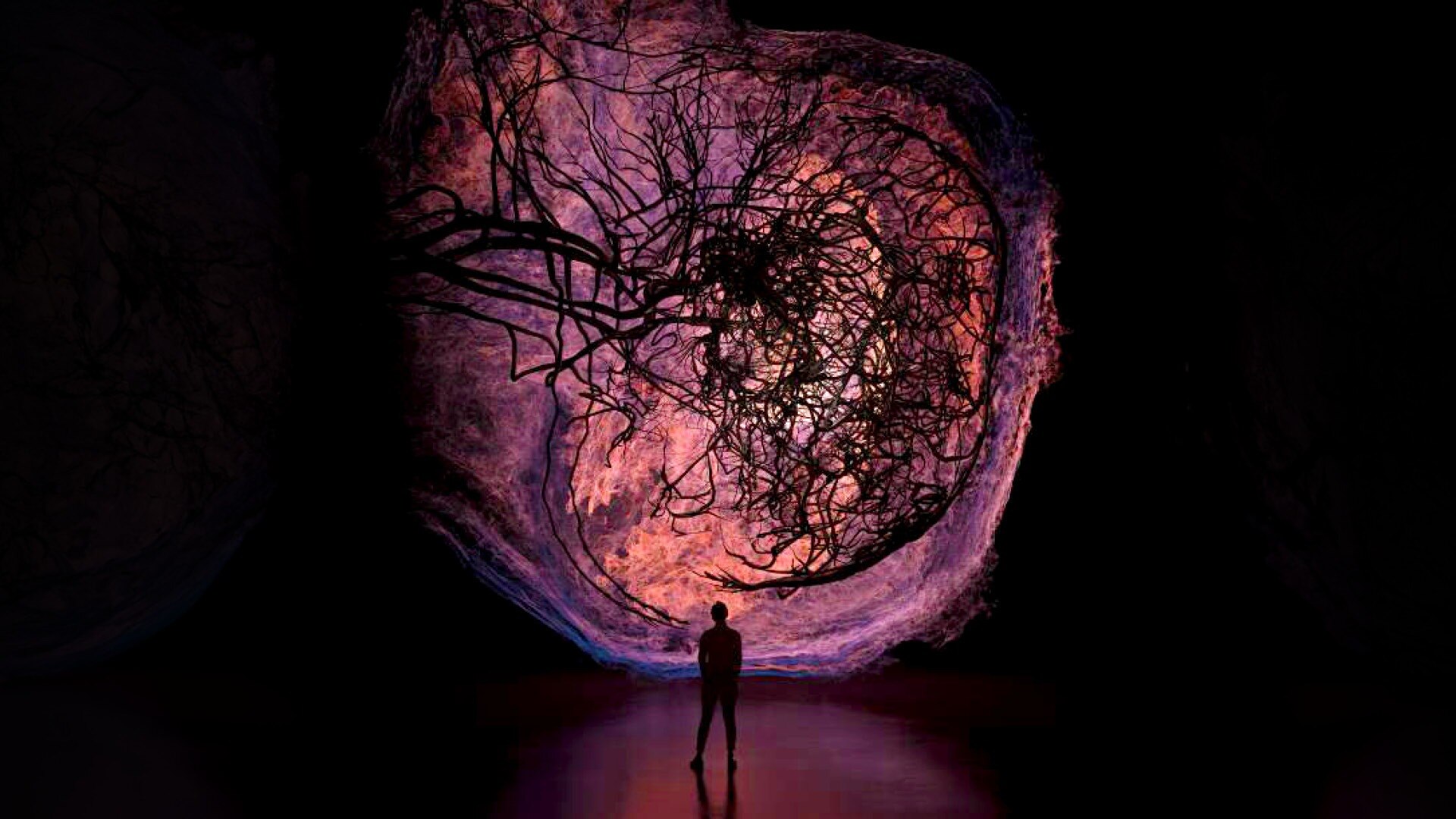 해부학 전시를 선보이는 아트사이언스 뮤지엄의 ‘Flesh and Bones: The Art of Anatomy(살과 뼈: 해부학의 예술)’ 갤러리 전경