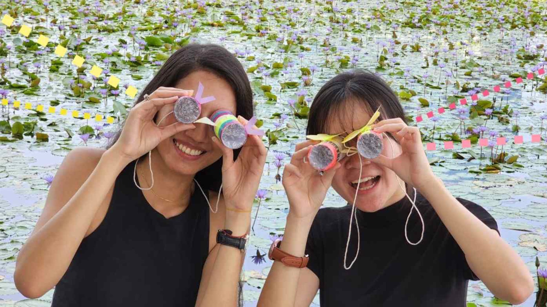 Drop-in Sessions: Super Senses of the Wild