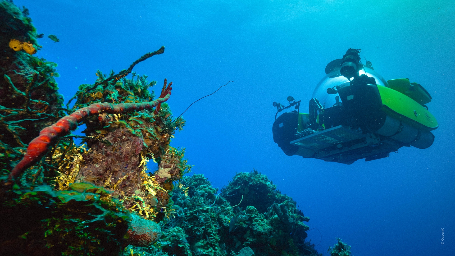 Into The Ocean(바다 속으로)