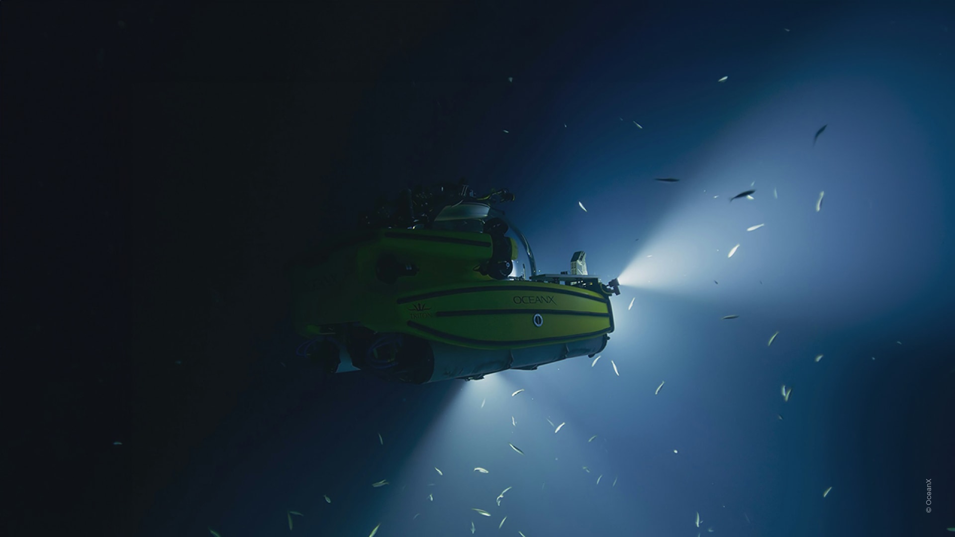 Into The Ocean: Journey Beneath(바다 속으로: 심해 탐험)