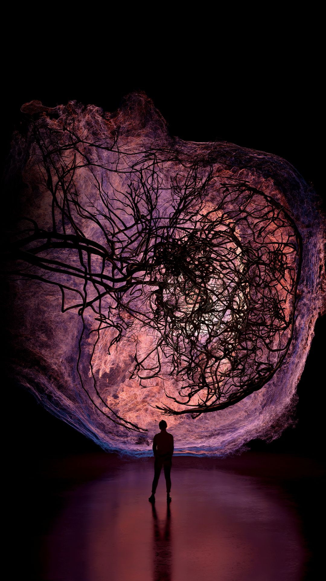 Flesh & Bones: The Art of Anatomy(살과 뼈: 해부학의 예술)