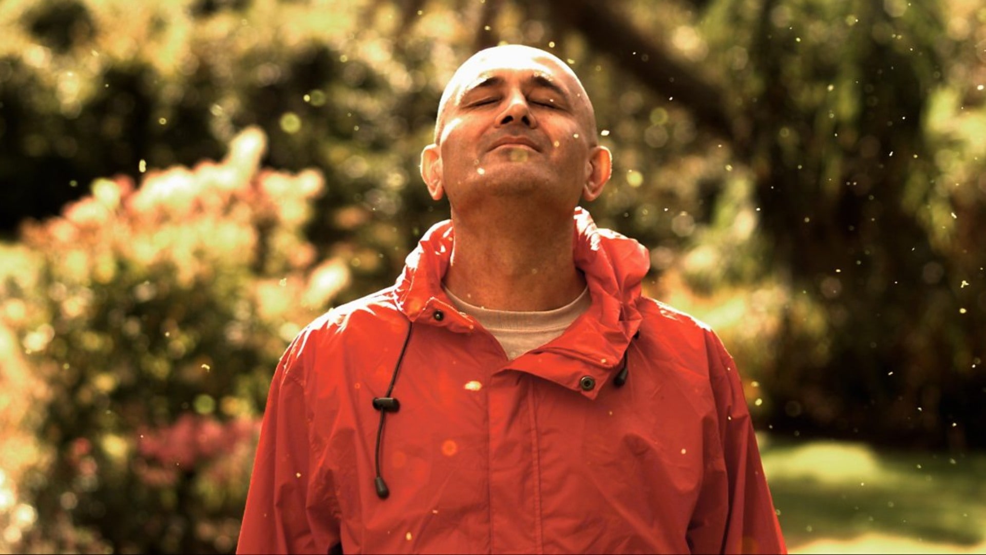 The Secrets of Quantum Physics: Let There Be Life (2014) by BBC