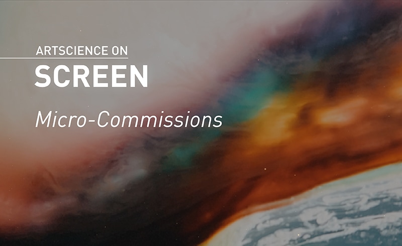 ArtScience on Screen(스크린 속 아트사이언스): Micro-Commissions(마이크로 커미션)