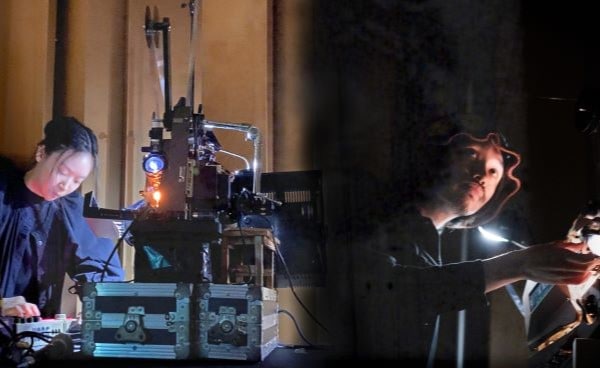 Three Views Of The Lotus(연꽃에 대한 세 가지 시선)