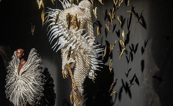 New Nature(새로운 자연)