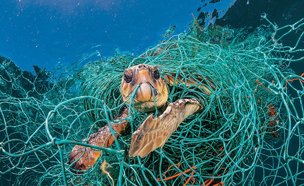 섹션 2: The Darker Side of Plastics