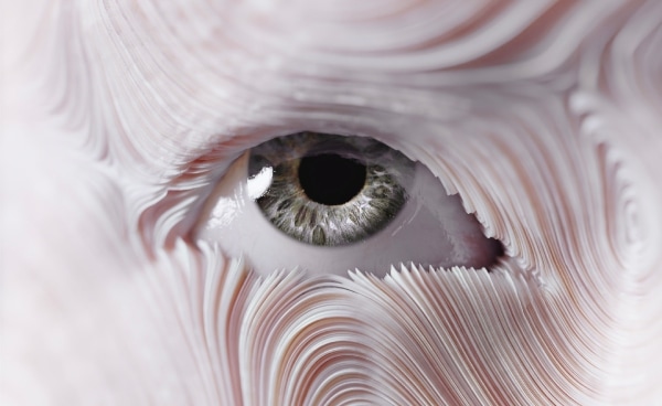 Radical Imaginations – New Eden(급진적 상상력-새로운 에덴) 개막 심포지엄