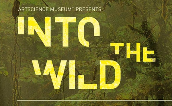 Into The Wild: An Immersive Virtual Adventure(인투 더 와일드: 몰입형 가상 어드벤처)