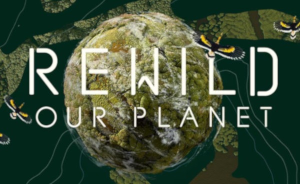 REWILD Our Planet(지구를 야생으로 되돌리다) 