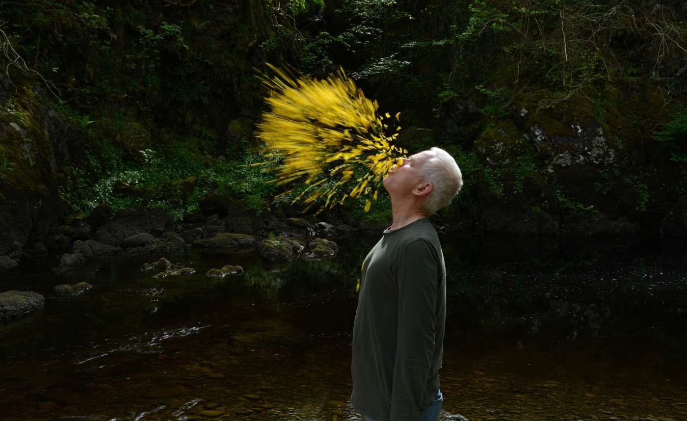 Leaning into the Wind: Andy Goldsworthy(리닝 인투 더 윈드: 앤디 골즈워디)(2017)
