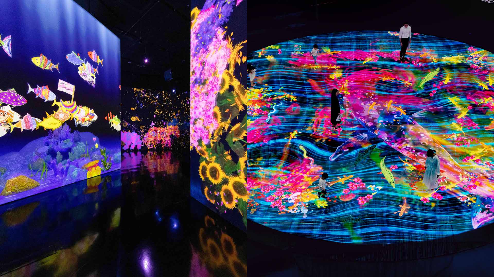 teamLab Future World(퓨처 월드) 및 디지털 라이트 캔버스 by teamLab