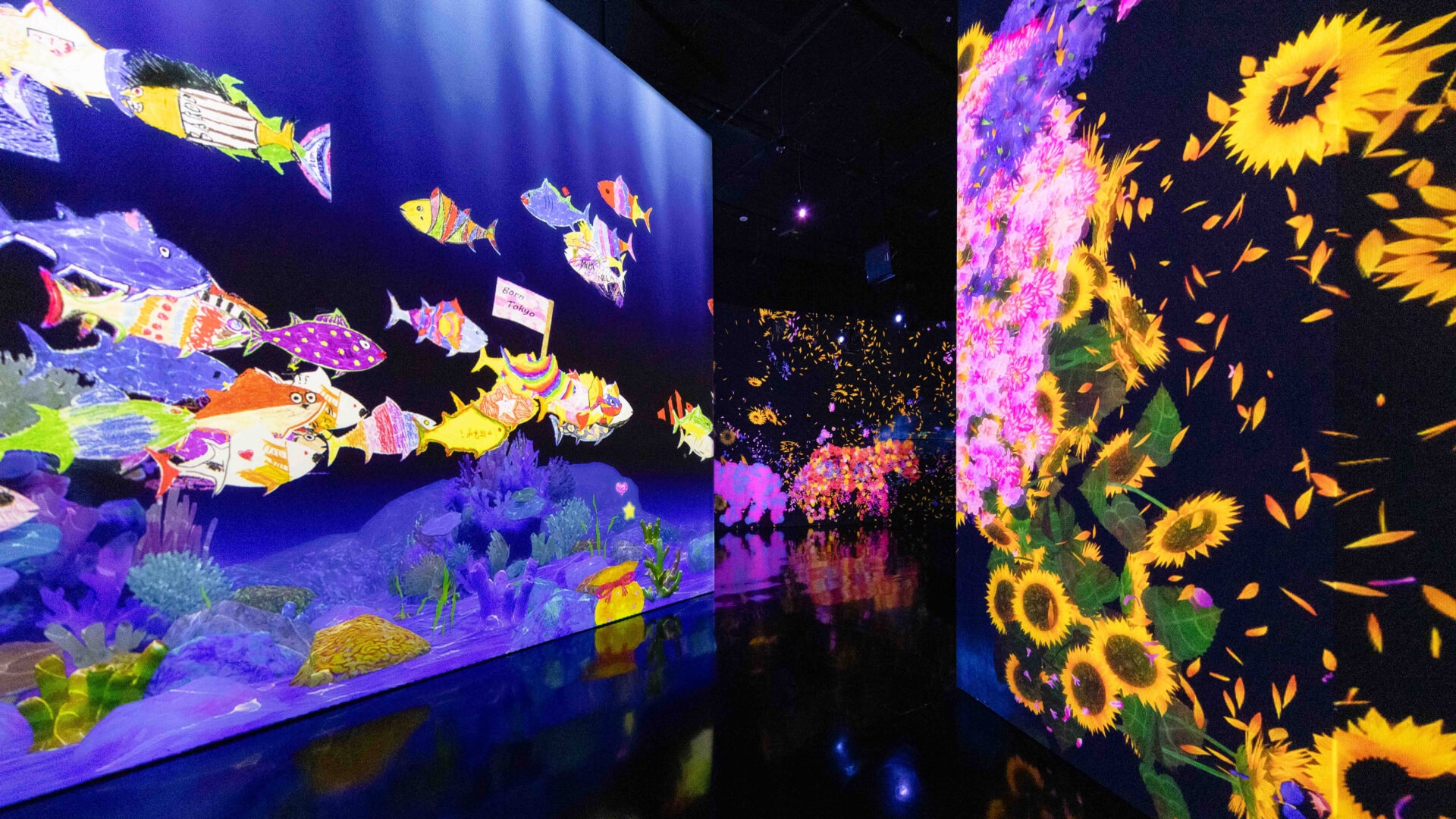 아트사이언스 뮤지엄의 Future World(퓨처 월드)