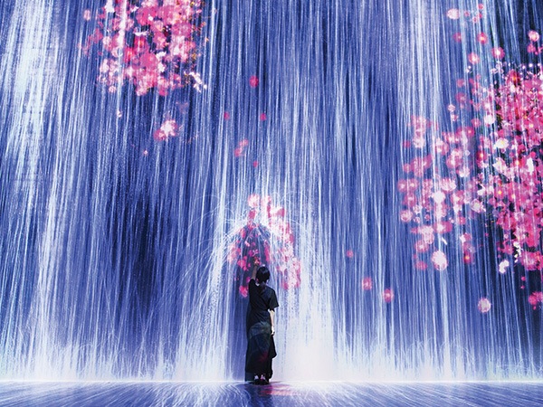 아트사이언스 뮤지엄 