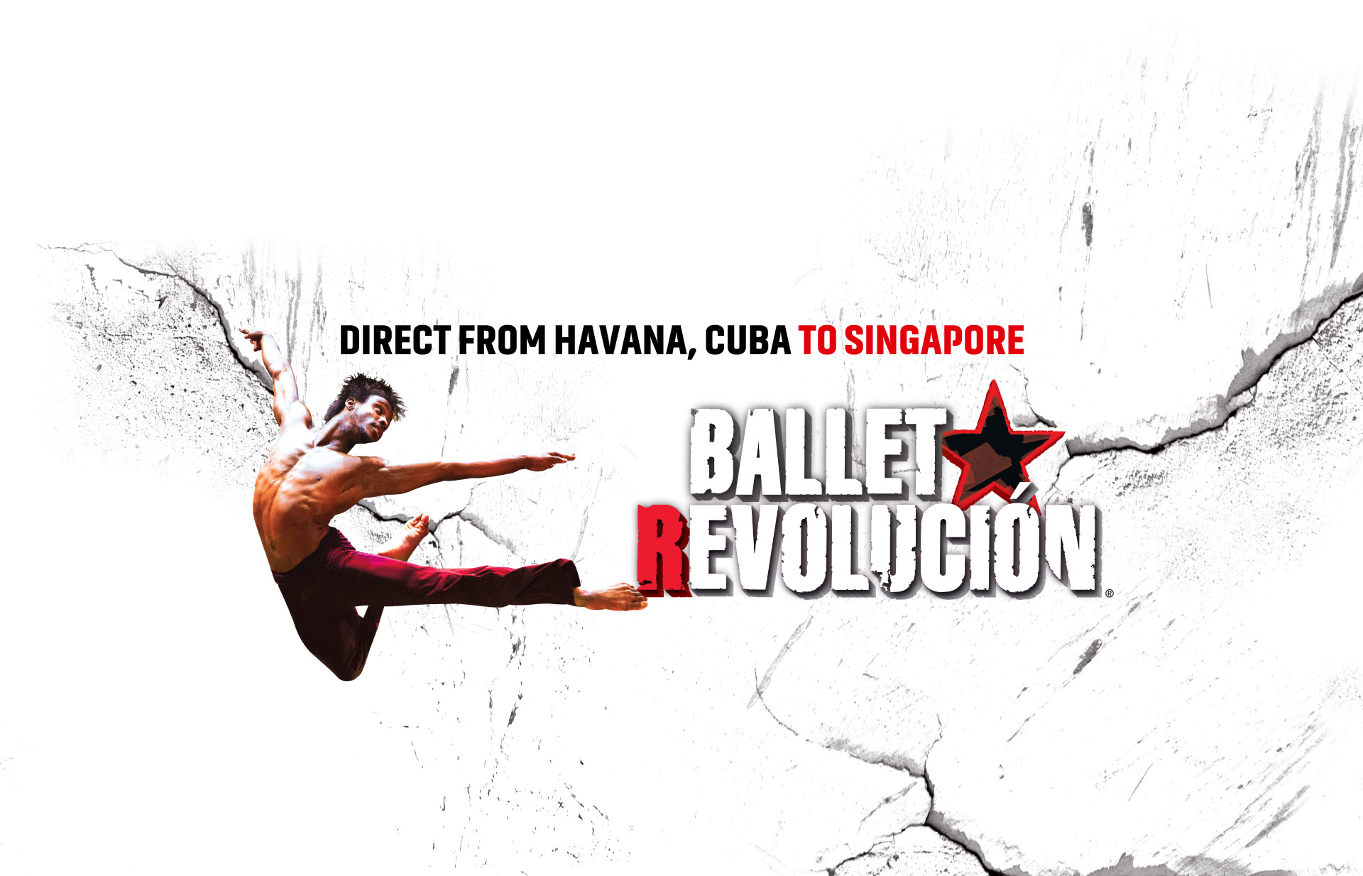 발레 레볼루시온(Ballet Revolución)