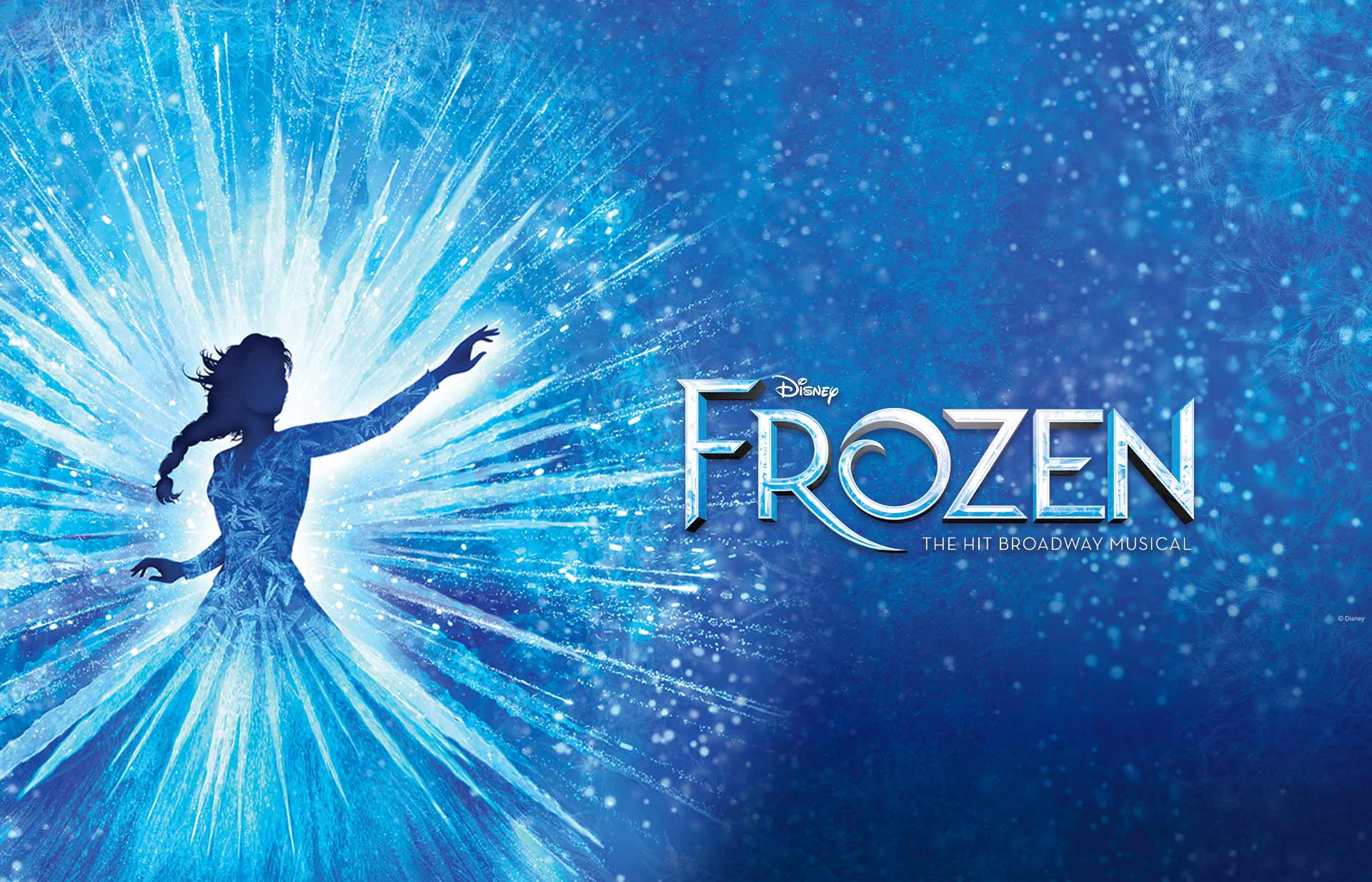 디즈니의 Frozen the hit Broadway Musical(겨울왕국 더 히트 브로드웨이 뮤지컬)
