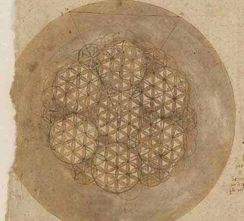 588조각 원, 1517—18년경, F.307 왼쪽 페이지, 레오나르도 다빈치, 코덱스 아틀란티쿠스