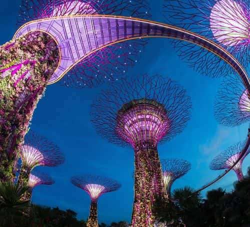 가든스 바이 더 베이 슈퍼트리 야경