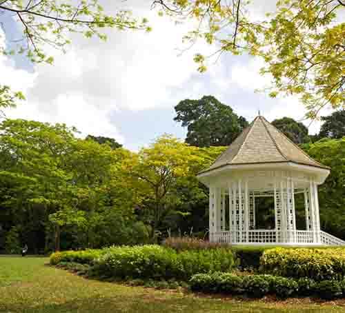 싱가포르 내 자연 활동 및 야외 활동