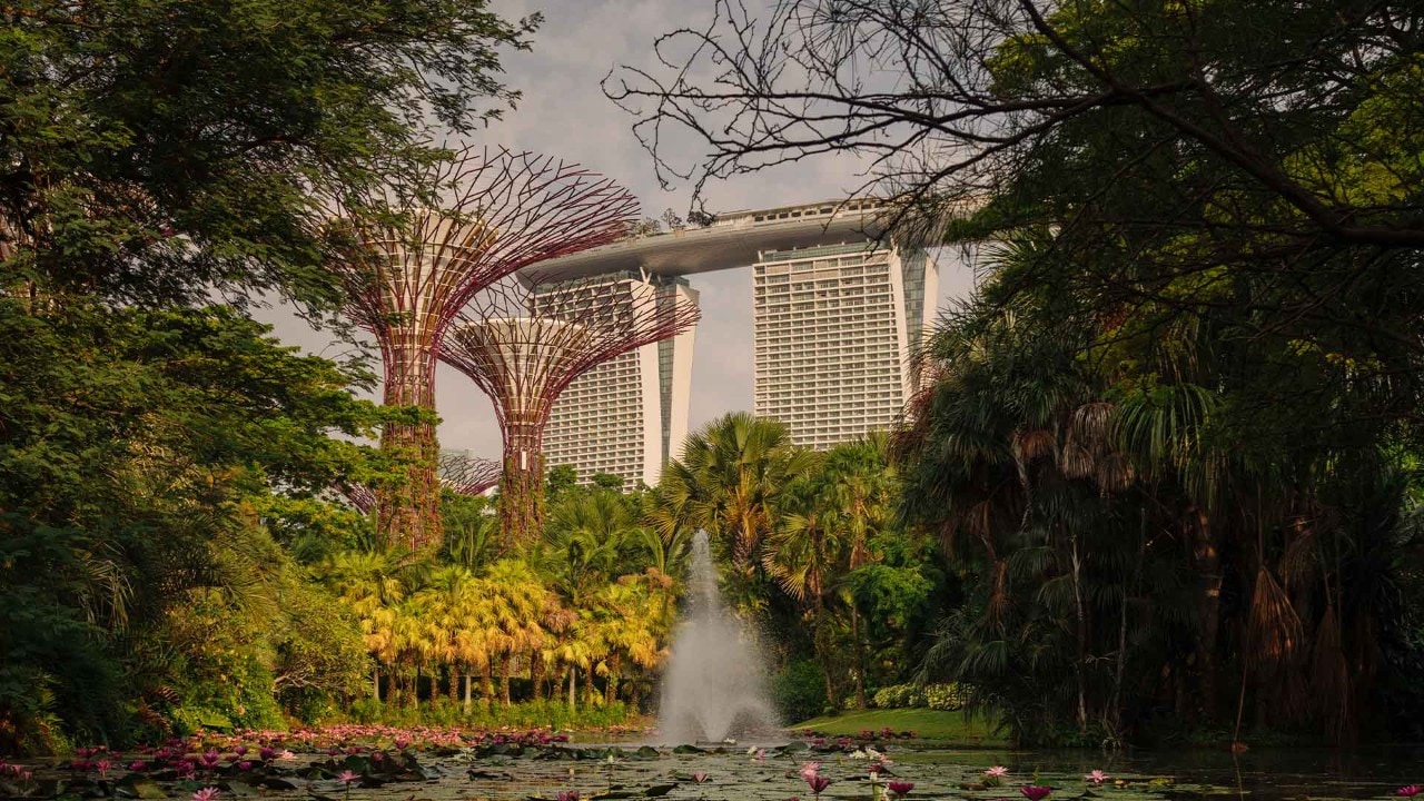 View of Marina Bay Sands from Gardens by the Bay