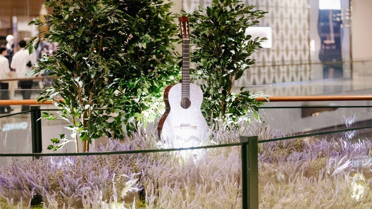 Guitar among reeds to depict Taylor Swift's 'Speak Now' album